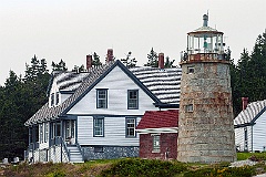 Whitehead ME LH1346